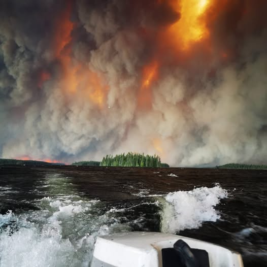 The 2026 Wildfire Season: The Power of Mother Nature